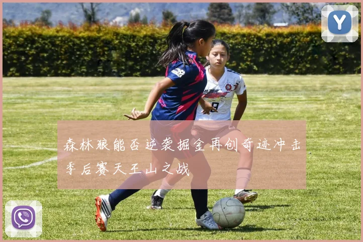 森林狼能否逆袭掘金再创奇迹冲击季后赛天王山之战