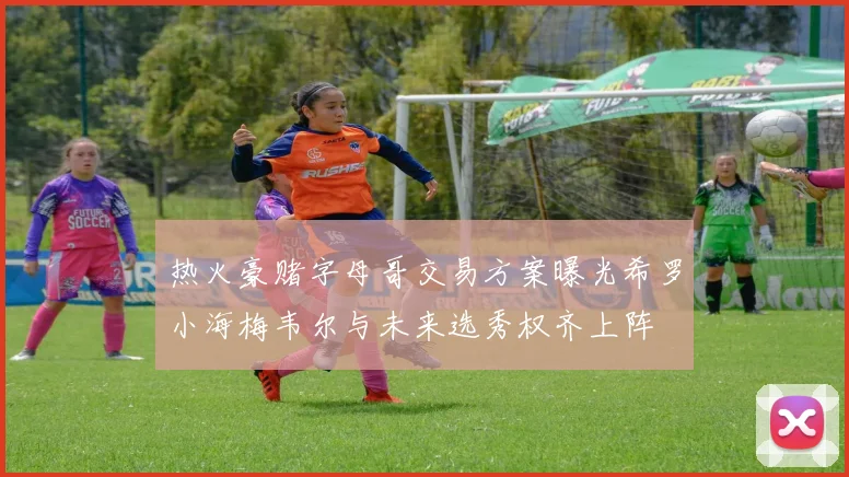 热火豪赌字母哥交易方案曝光希罗小海梅韦尔与未来选秀权齐上阵