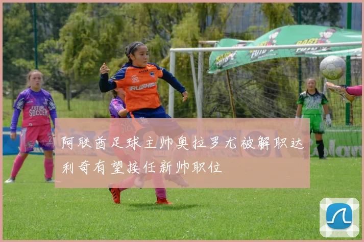 阿联酋足球主帅奥拉罗尤被解职达利奇有望接任新帅职位